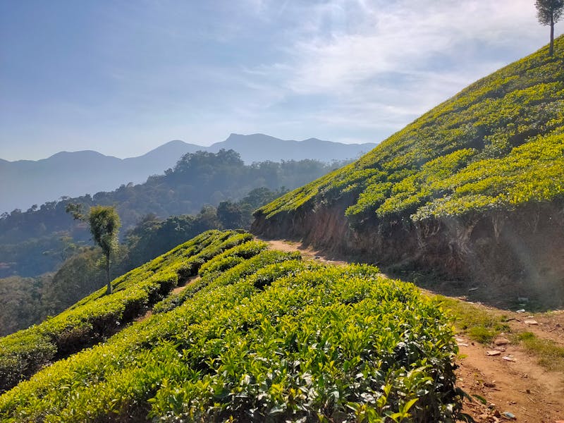 Appliance removal service in Herndon VA